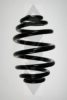 SPIDAN 48048 Coil Spring